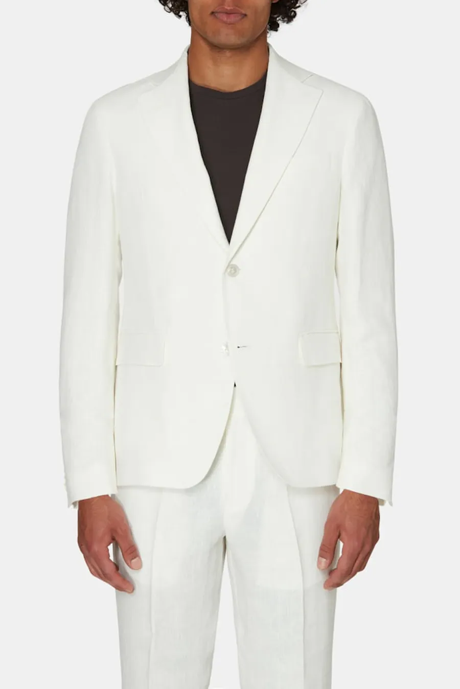 Regular Fit Microstructure Blazer