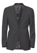 Regular Fit Microstructure Blazer