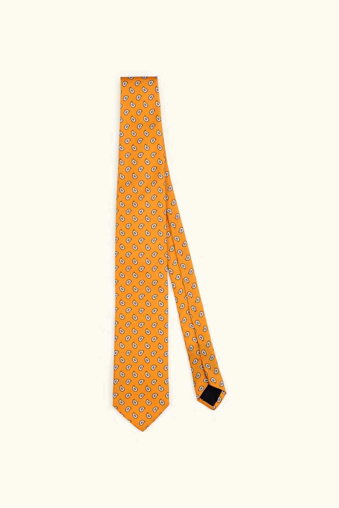 Paisley Pattern Tie