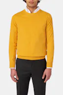Regular Fit Roundneck Sweater