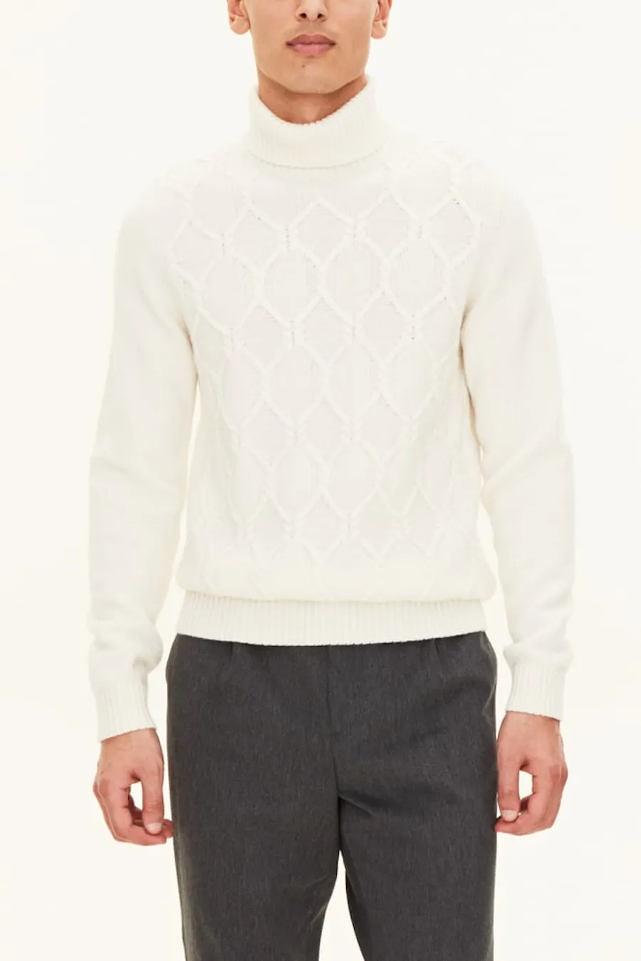Regular Fit Cable Knit Rollneck
