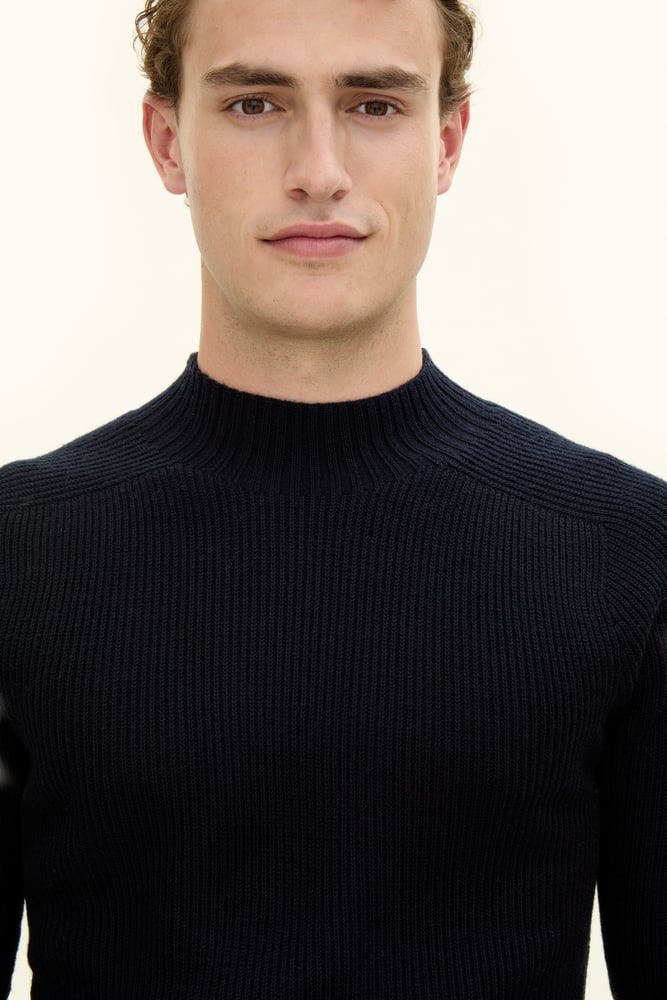 Regular Fit Wool Blend Turtleneck