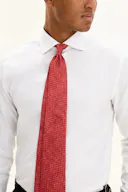 Printed Silk Tie