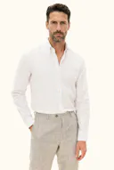 Regular Fit Royal Button Down Striped Shirt