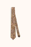 Paisley Patterned Tie