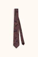 Paisley Pattern Silk Tie
