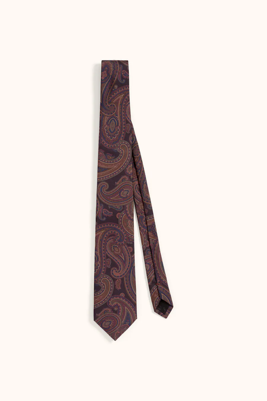 Paisley Pattern Silk Tie
