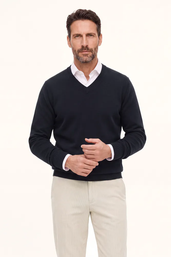 Regular Fit V-neck Sweater